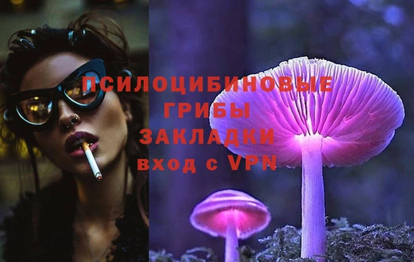 mix Бородино